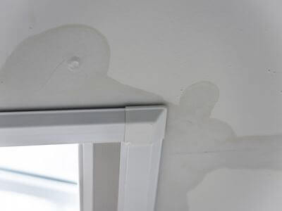 About water damage cleanup - ceiling water damage repair experts in Winter Haven