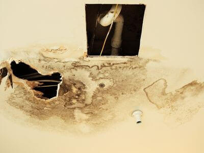 Professional ceiling water damage repair services in Winter Haven - water damage cleanup