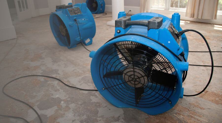 Why choose water damage cleanup for ceiling water damage repair in Winter Haven